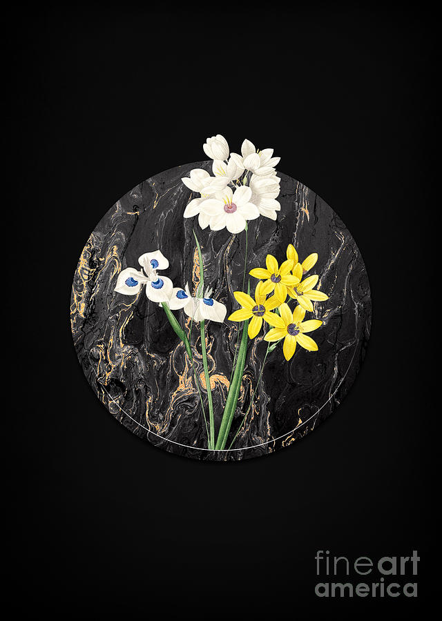 Vintage Corn Lily Art in Gilded Marble on Shadowy Black Painting by Holy Rock Design