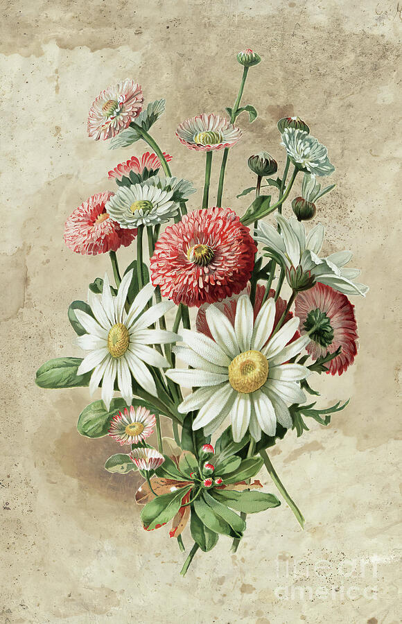 Vintage Daises Painting by Tina LeCour Vintage Daises Painting by Tina LeCour