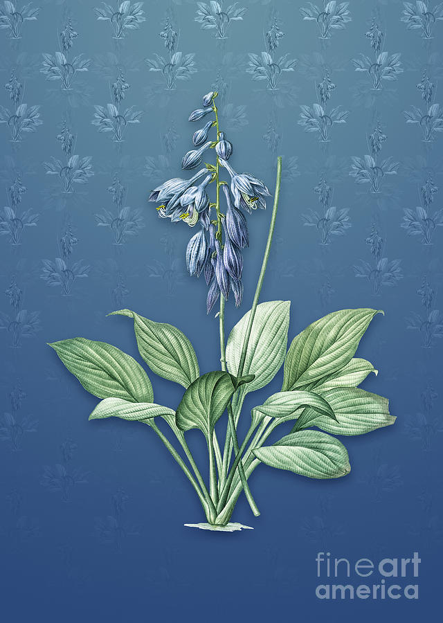 Vintage Daylily Botanical Art on Bahama Blue Pattern n.1325 Mixed Media by Holy Rock Design