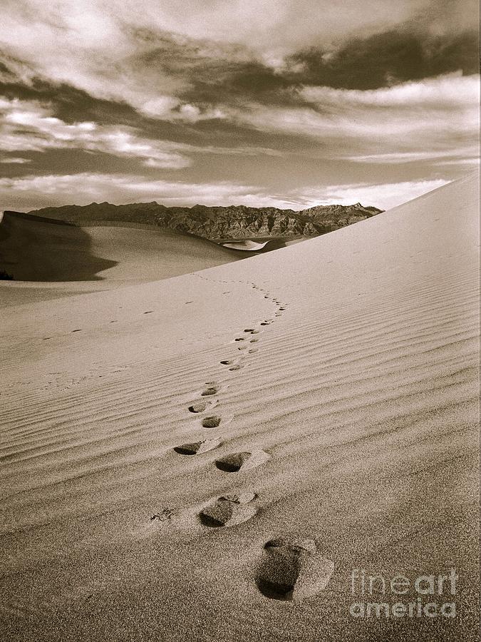 Vintage Death Valley sand dunes Photograph by Michael McCormack