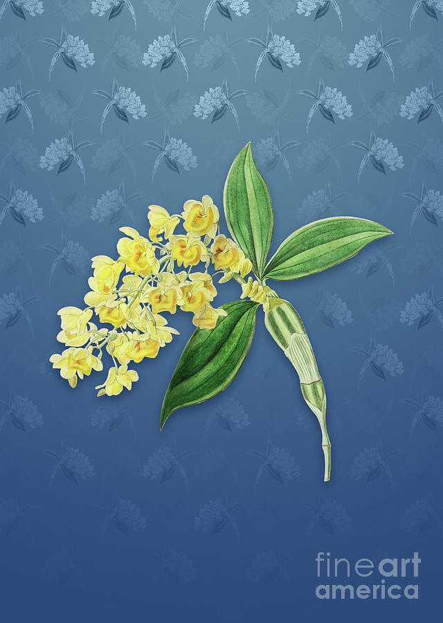 Vintage Dense Flowered Dendrobium Botanical Art on Bahama Blue Pattern n.1281 Mixed Media by Holy Rock Design