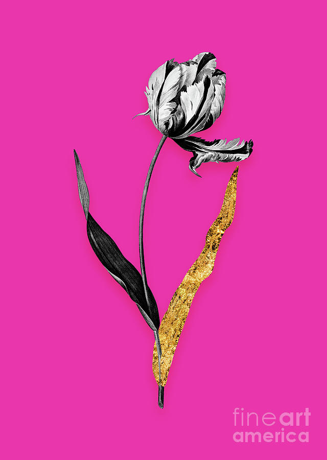 Vintage Didiers Tulip Black And White Gilded Floral Art On Hot Pink N.0991 Mixed Media