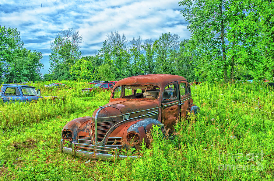 Vintage Dodge Car In A Field Photograph