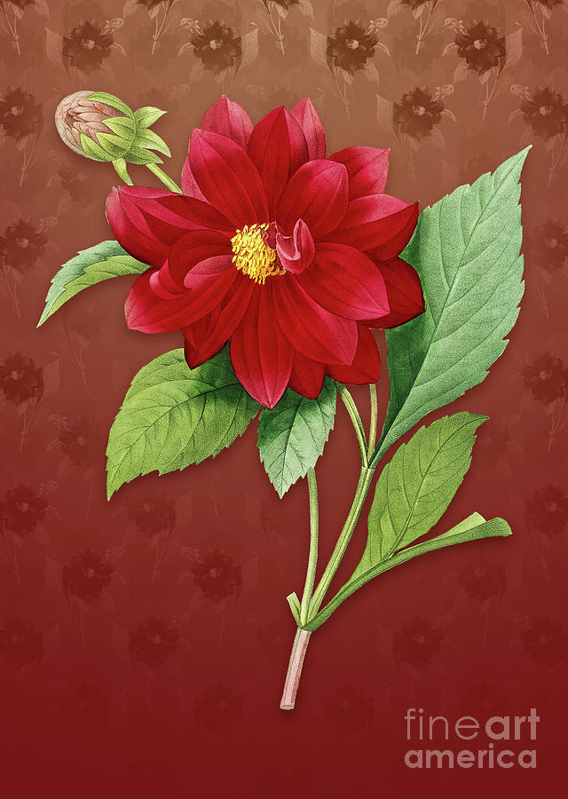Vintage Double Dahlias Botanical Art on Falu Red Pattern n.2505 Mixed Media by Holy Rock Design