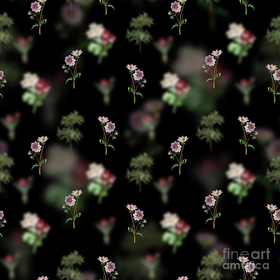 Vintage Dwarf Dahlia Floral Garden Pattern on Black n.2101 Mixed Media by Holy Rock Design