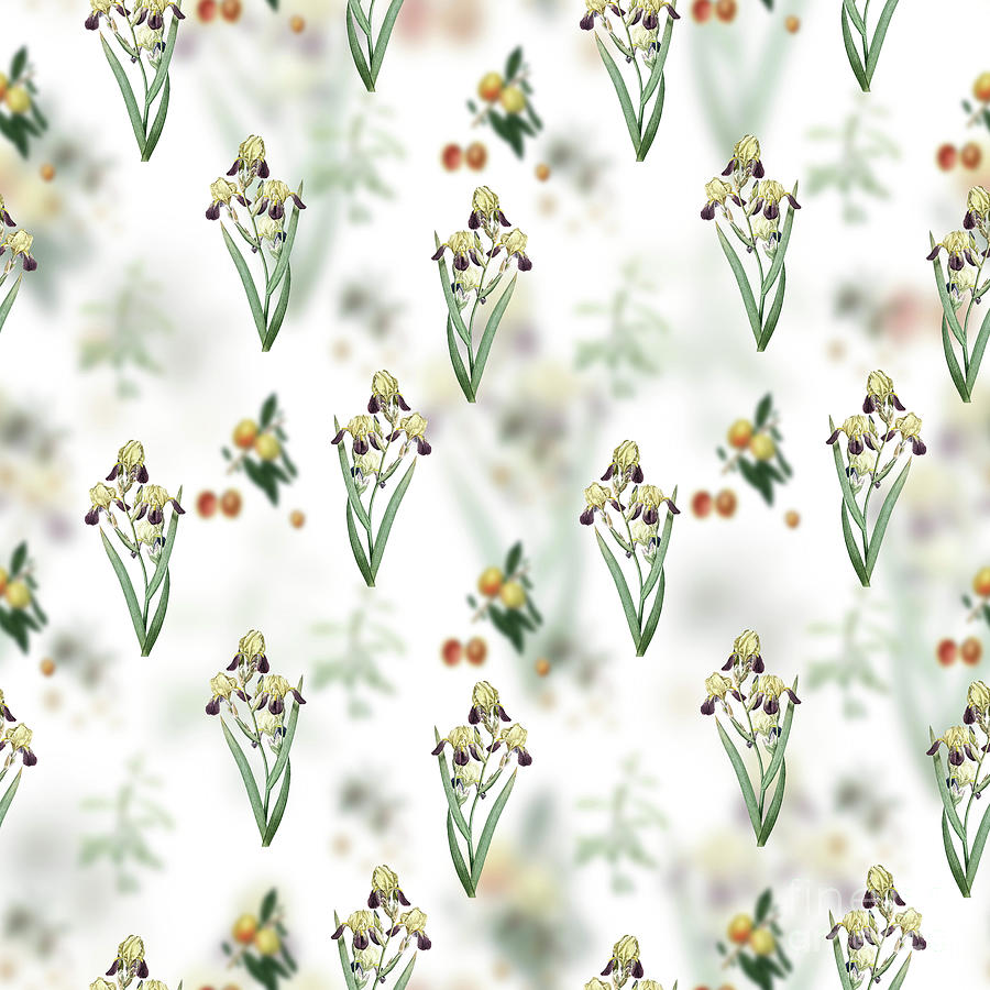 Vintage Elder Scented Iris Floral Garden Pattern on White n.2120 Mixed Media by Holy Rock Design