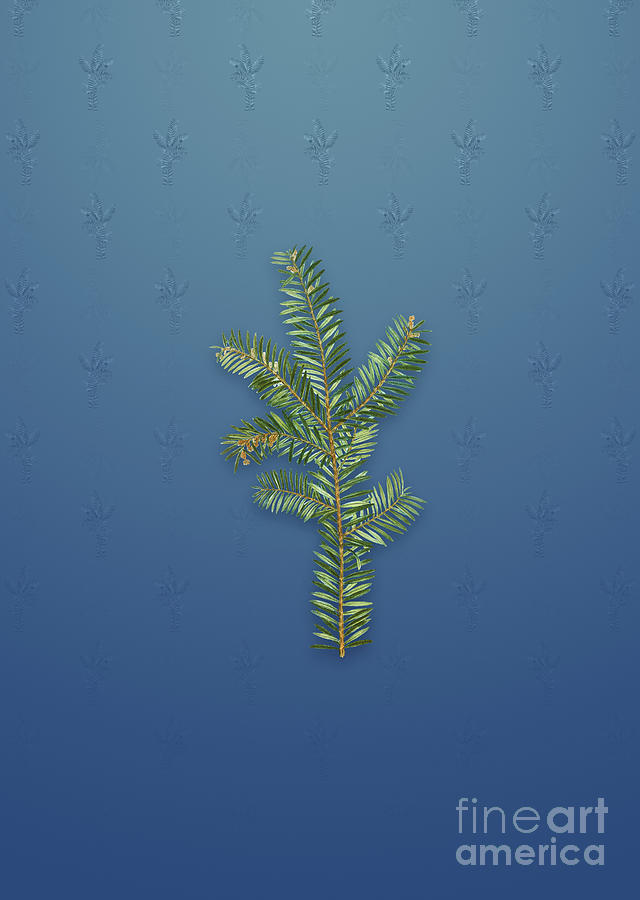 Vintage English Yew Botanical Art on Bahama Blue Pattern n.1316 Mixed Media by Holy Rock Design