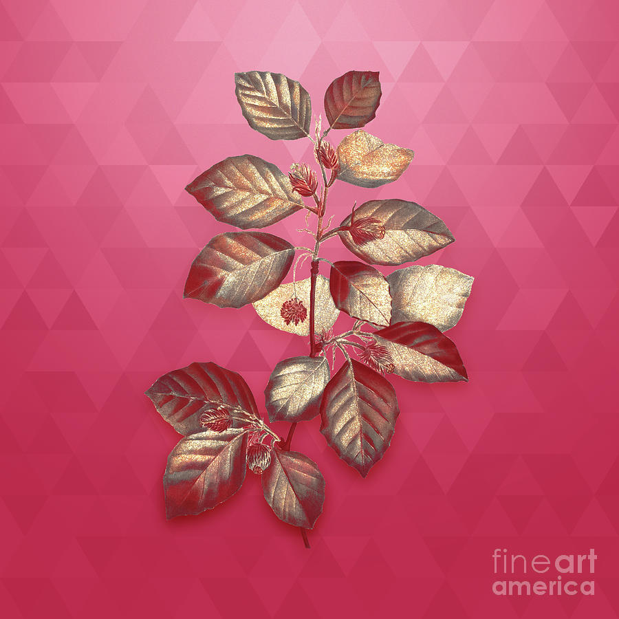Vintage European Beech in Gold on Viva Magenta Mixed Media by Holy Rock Design