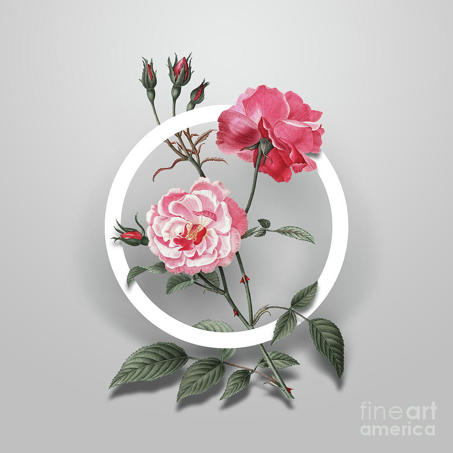 Vintage Ever Blowing Rose Minimalist Floral Geometric Circle Art N.678 Painting by Holy Rock Design