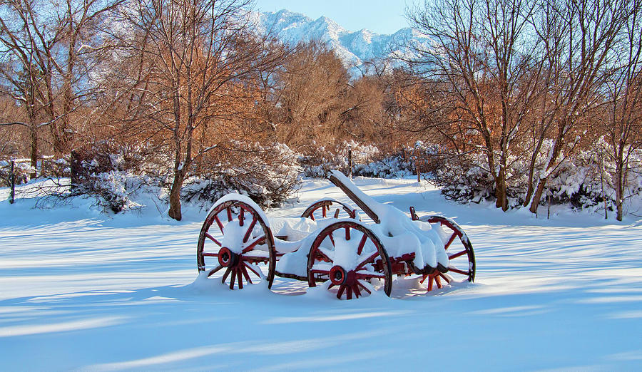 Vintage Farm Wagon In The Snow Photograph by Nick Gray | Fine Art America