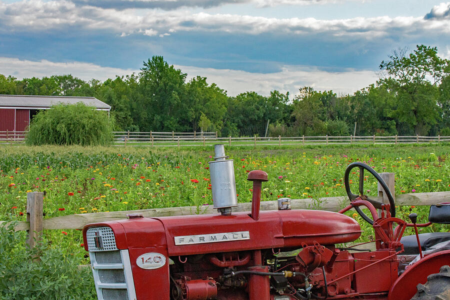 Vintage Farmall 140 in front of Wilflower field Photograph by Photographic Arts And Design Studio