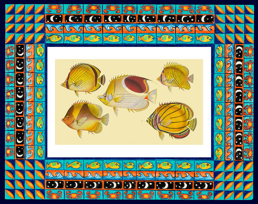 Vintage fish in decorative frame Drawing by Lorena Cassady