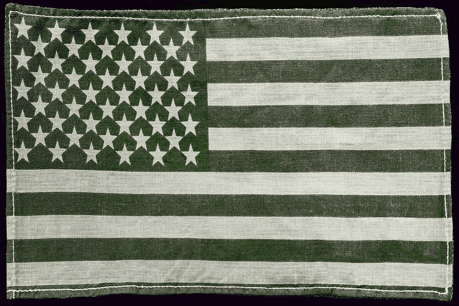 Vintage Flag 1 Army Green BW Photograph by Carrie Ann Grippo-Pike