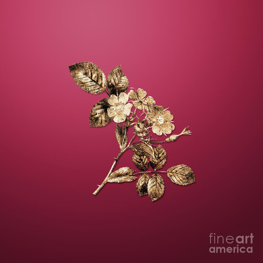 Vintage Flower Gold Redleaf Rose On Viva Magenta N.04439 Painting