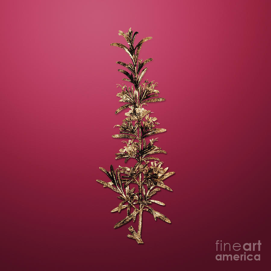 Vintage Flower Gold Rosemary on Viva Magenta n.04523 Painting by Holy ...