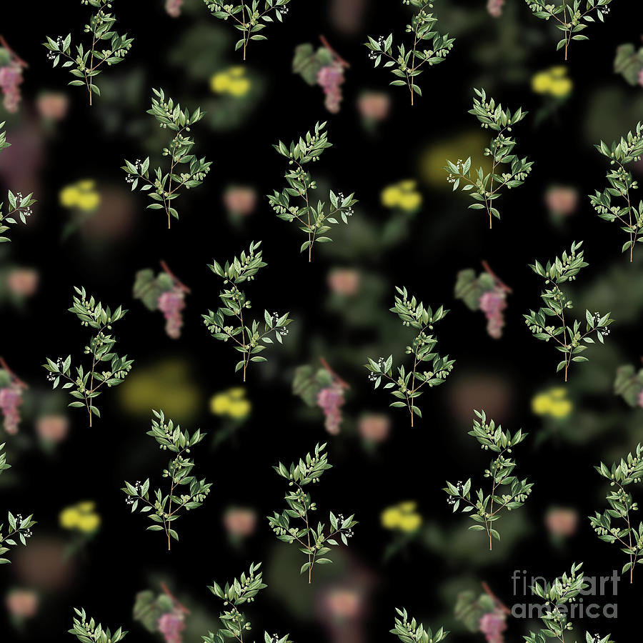 Vintage Fontanesia Phillyreoides Floral Garden Pattern on Black n.2105 Mixed Media by Holy Rock Design