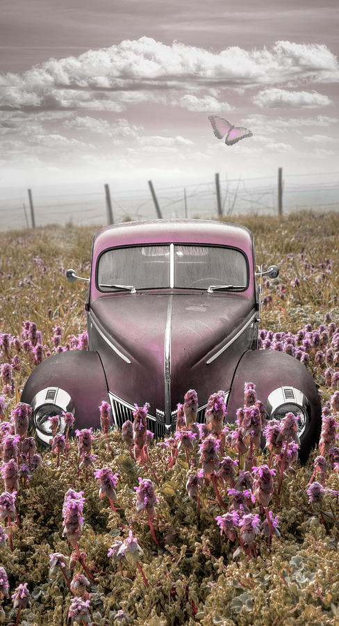 Vintage Ford in Pinks Photograph by Debra and Dave Vanderlaan
