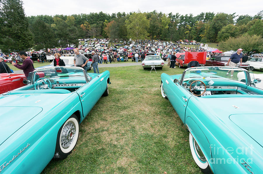 Vintage Ford Thunderbirds from the 1950s at an antique car show Photograph by William Kuta