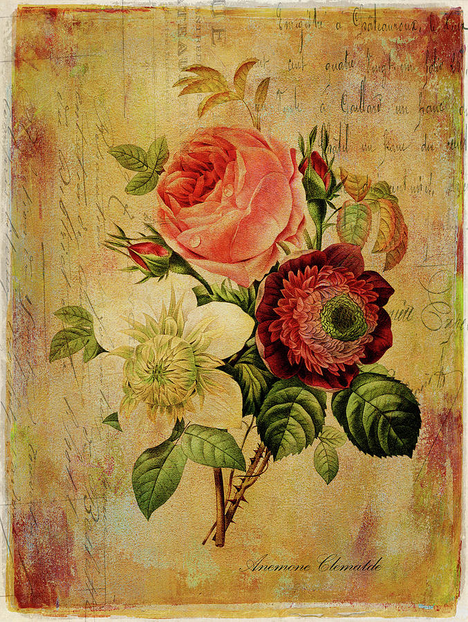 Vintage French Botanical 8 Photograph by Maria Angelica Maira - Fine ...