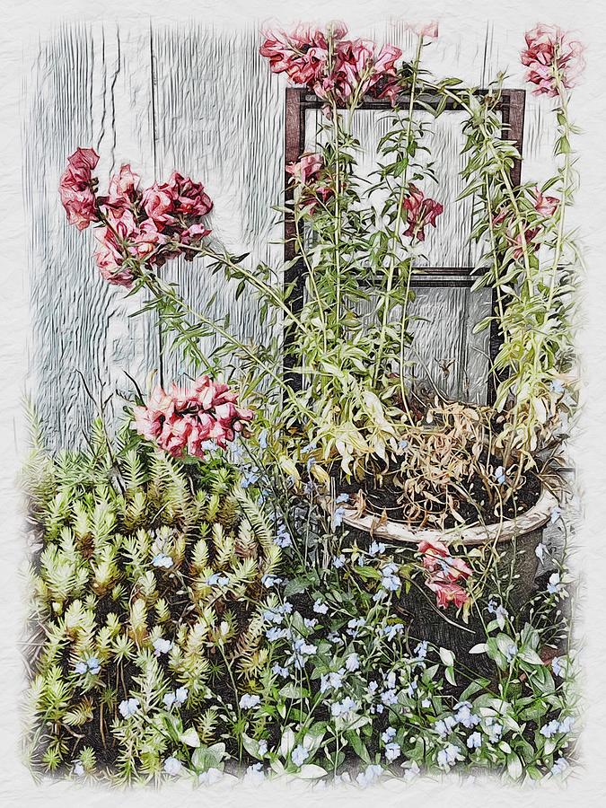 Vintage Garden series - Snapdragons  Mixed Media by Bonnie Bruno