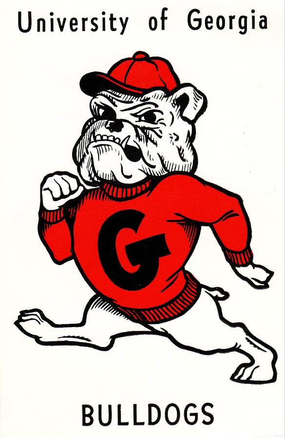 Vintage Georgia Bulldog Art Mixed Media by Row One Brand