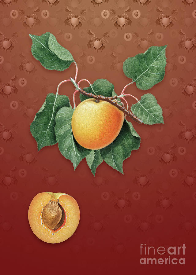 Vintage German Apricot Botanical Art on Falu Red Pattern n.3028 Mixed Media by Holy Rock Design
