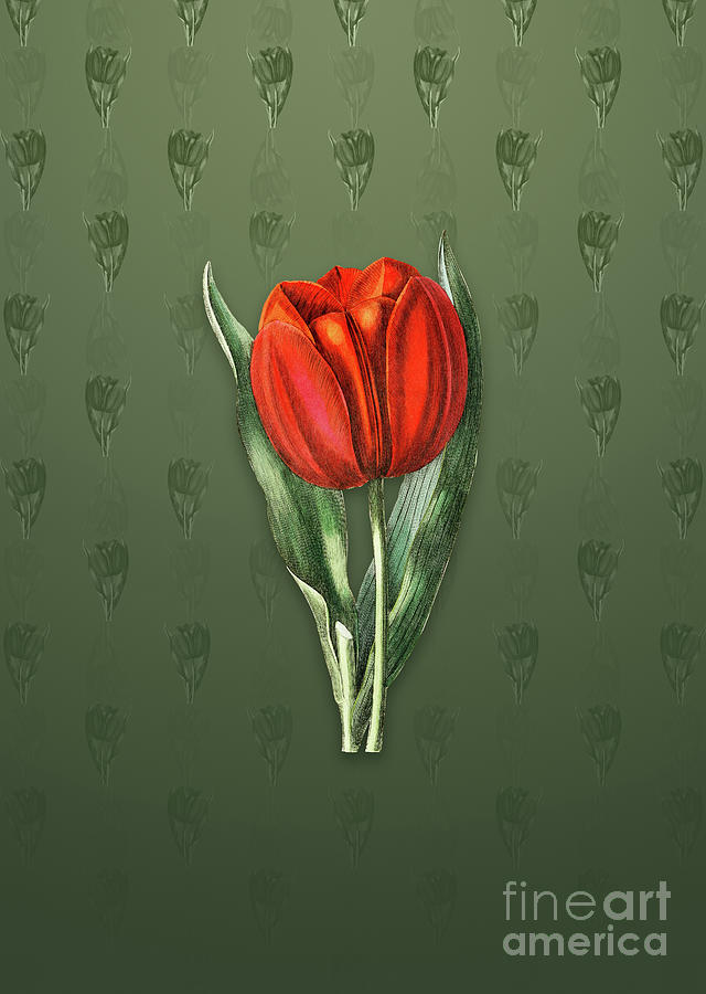 Vintage Gesners Tulip Botanical Art on Lunar Green Pattern n.0753 Mixed Media by Holy Rock Design