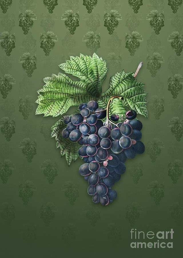 Vintage Grape Vine Botanical Art on Lunar Green Pattern n.1003 Mixed Media by Holy Rock Design