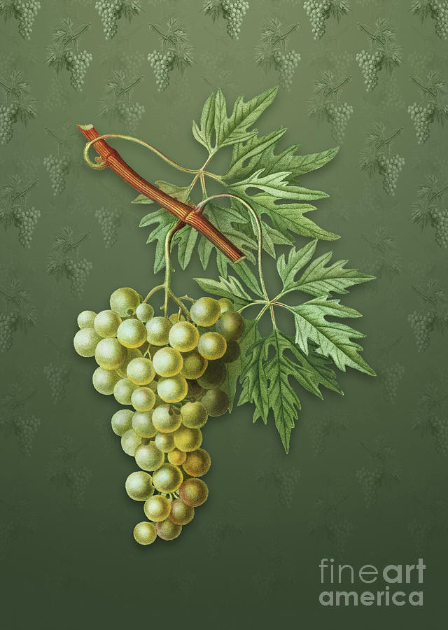 Vintage Grape Vine Botanical Art on Lunar Green Pattern n.1062 Mixed Media by Holy Rock Design