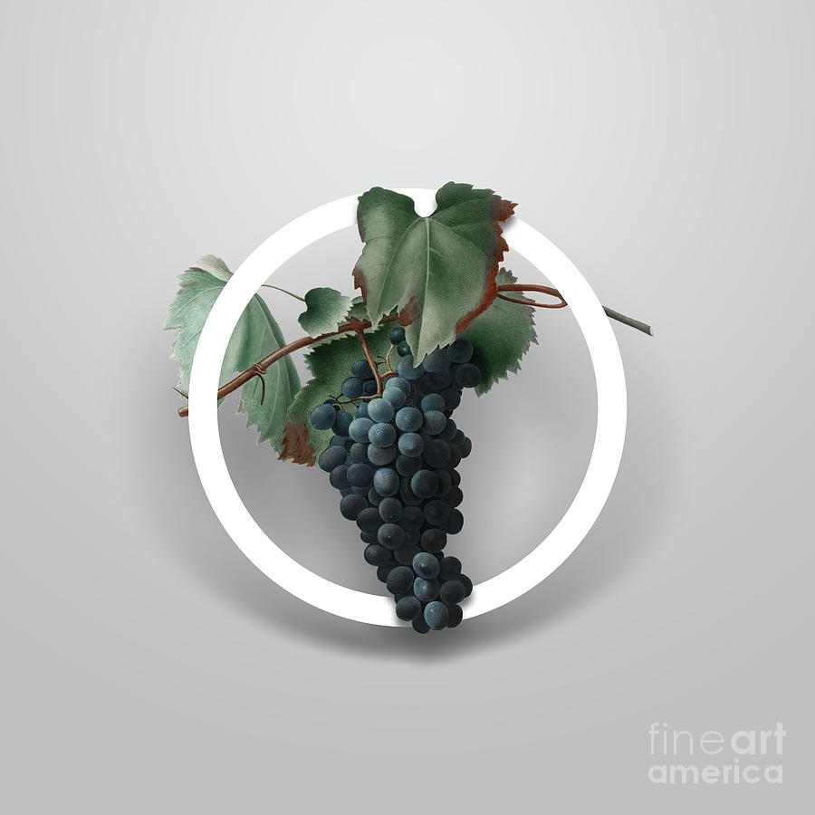 Vintage Grape Vine Minimalist Floral Geometric Circle Art N.676 Mixed Media by Holy Rock Design