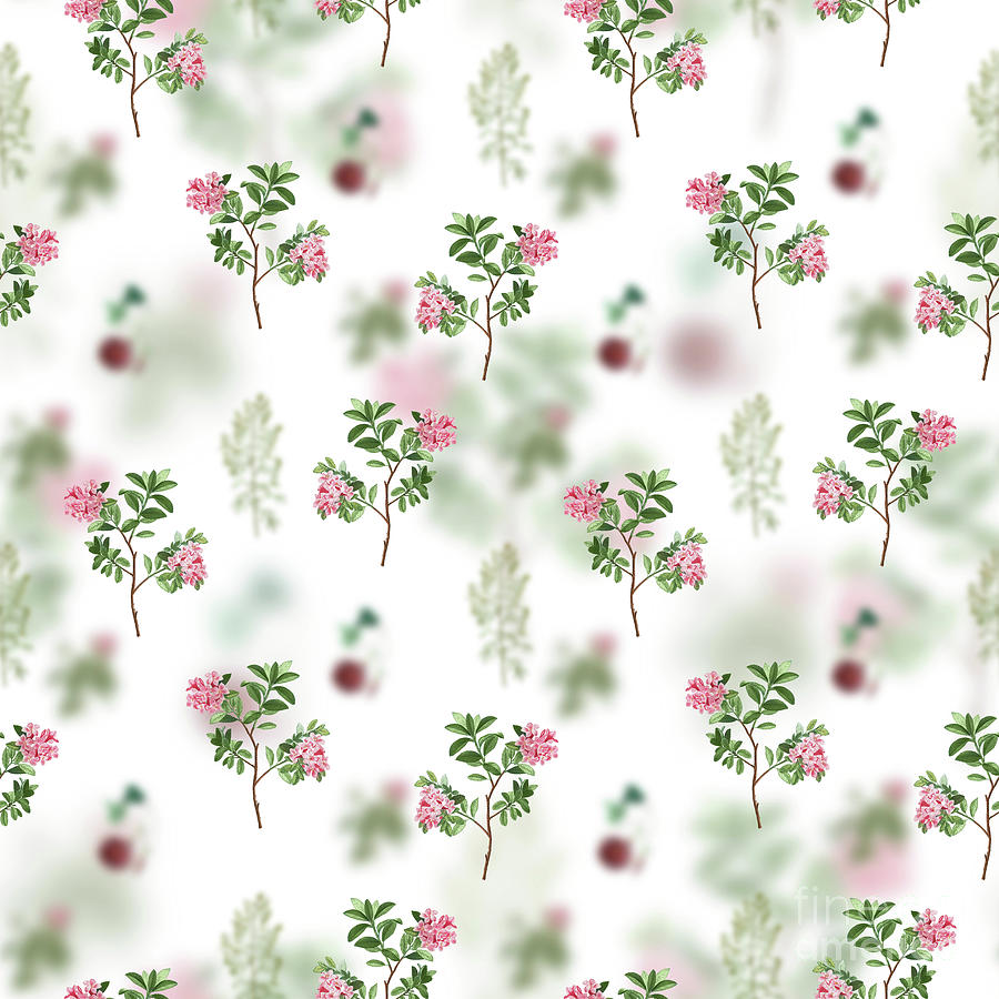 Vintage Hairy Alpenrose Floral Garden Pattern On White N1580 Mixed Media By Holy Rock Design 