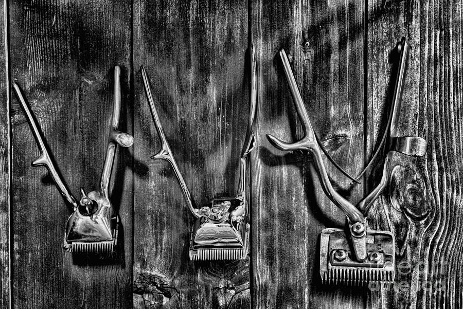 Vintage Photograph - Vintage Handheld Hair Clippers in black and white by Paul Ward