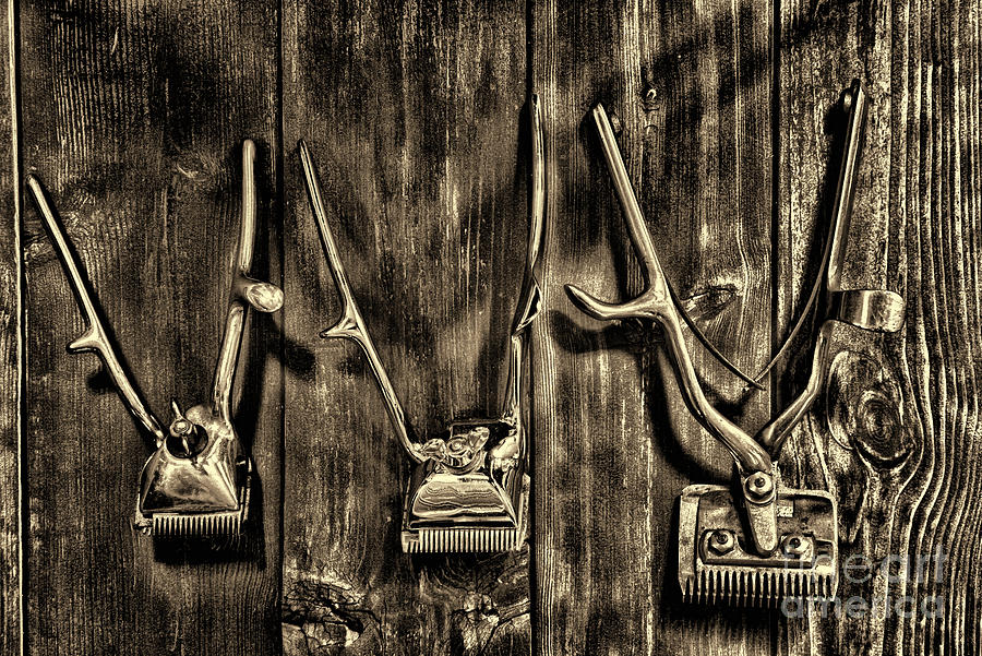 Vintage Photograph - Vintage Handheld Hair Clippers retro sepia by Paul Ward