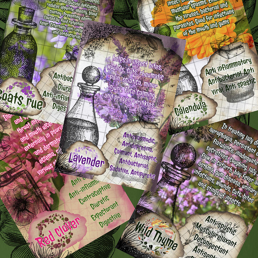 Vintage Herbal Photograph By Ana Naturist Pixels