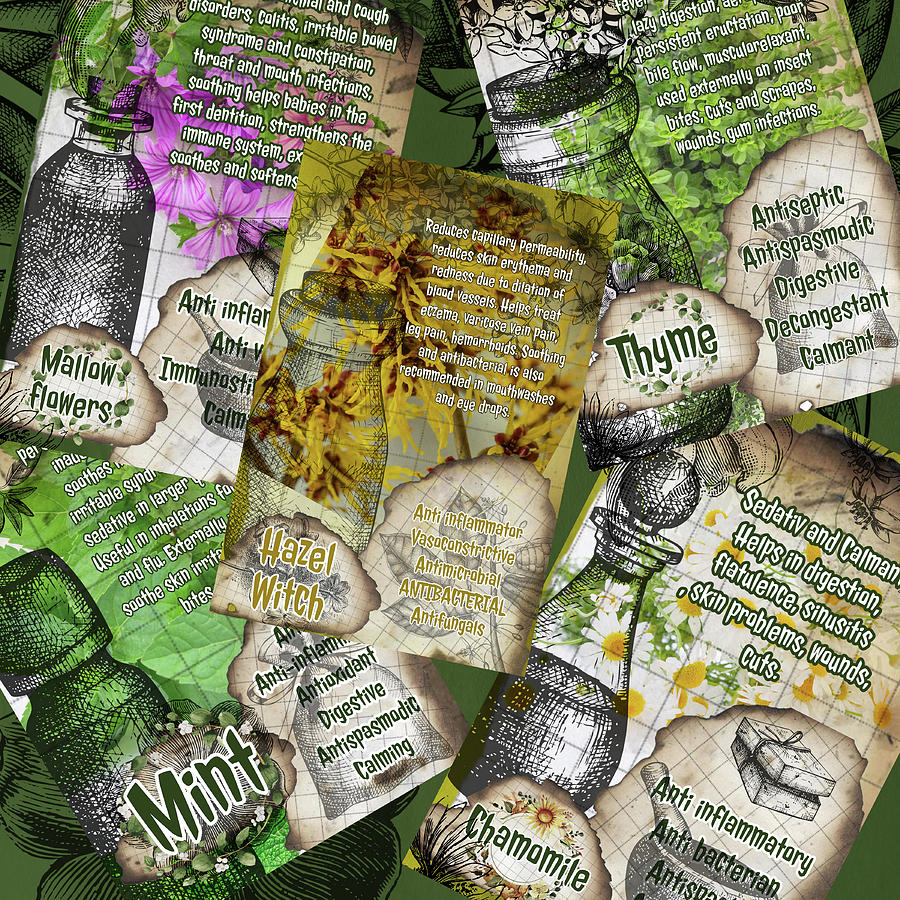 Vintage Herbalist Notebook Pages Photograph By Ana Naturist Fine Art
