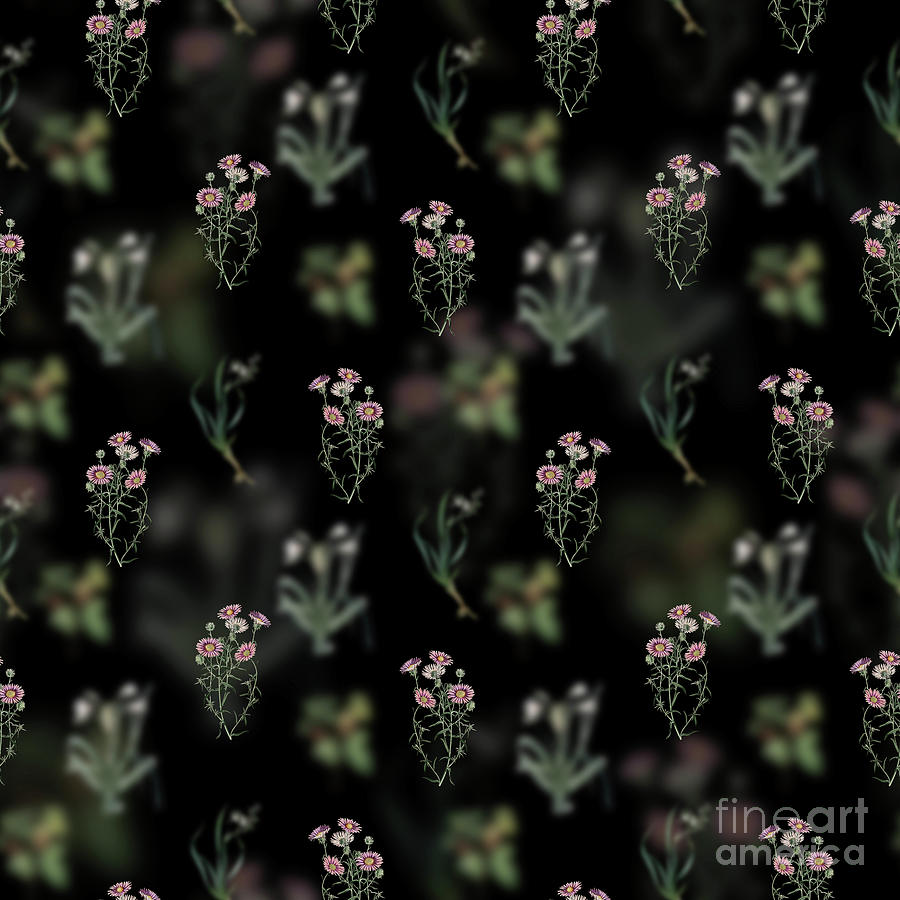Vintage Hoary Diplopappus Floral Garden Pattern on Black n.2153 Mixed Media by Holy Rock Design