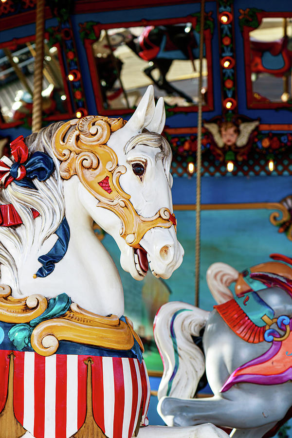 Vintage Horse on the 1923 Dentzel Carousel at the Texas State Fair Photograph by David Ilzhoefer
