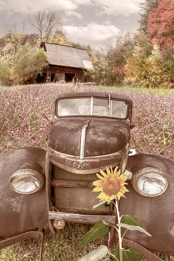 Vintage in the Country Wildflowers Photograph by Debra and Dave Vanderlaan