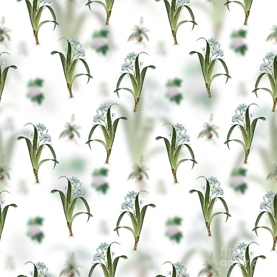 Vintage Iris Fimbriata Floral Garden Pattern on White n.2146 Mixed Media by Holy Rock Design