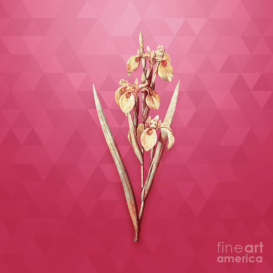 Vintage Irises in Gold on Viva Magenta Mixed Media by Holy Rock Design
