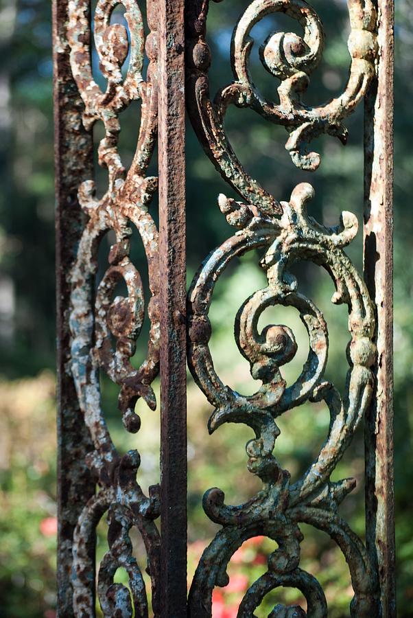 Vintage Iron Work Photograph by Emily Conte