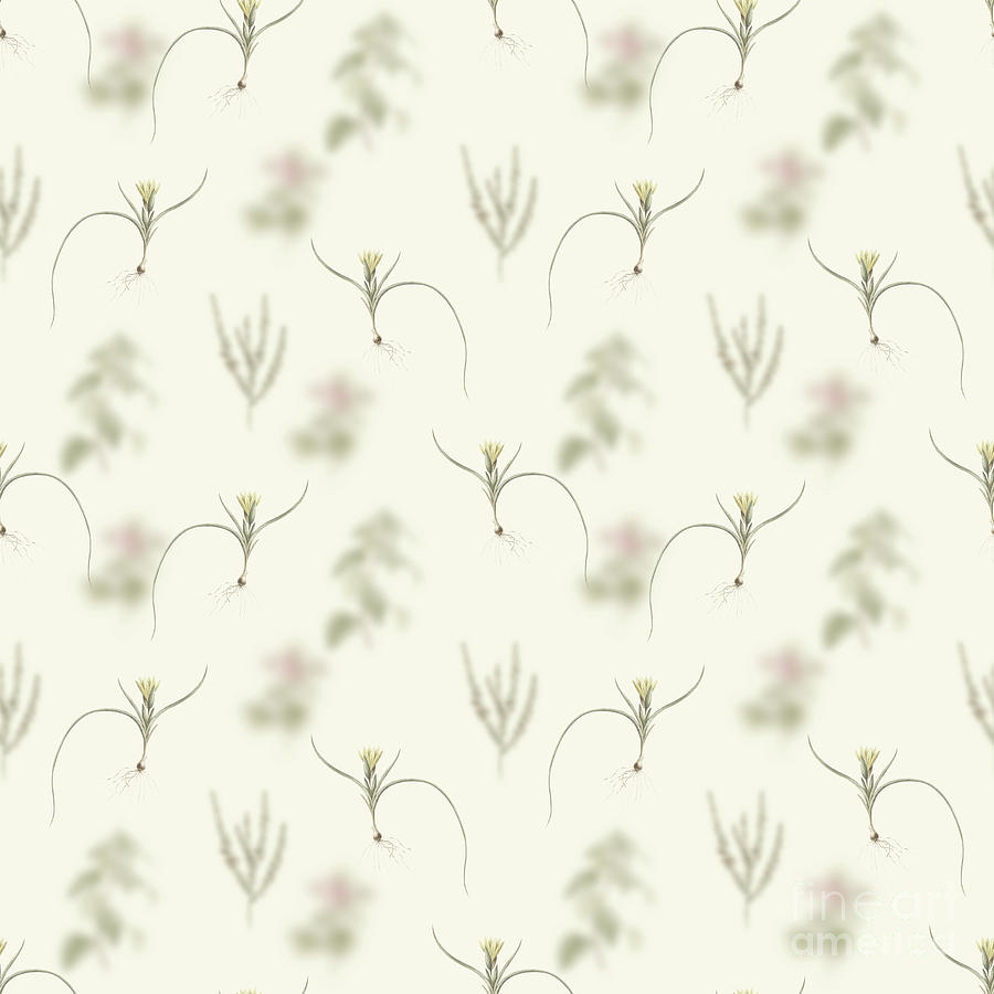 Vintage Ixia Recurva Boho Botanical Pattern On Soft Warm White N.0516 Mixed Media