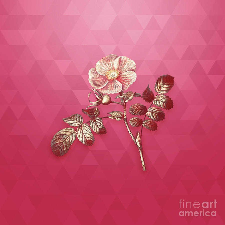 Vintage Japanese Rose in Gold on Viva Magenta Mixed Media by Holy Rock Design
