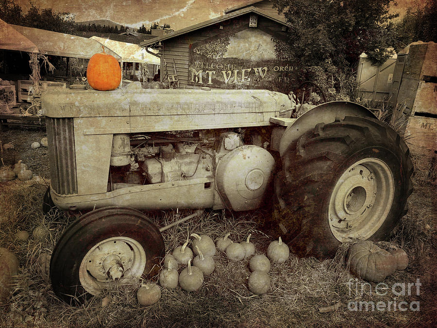 Vintage John Deere Tractor Photograph by Jeanette French