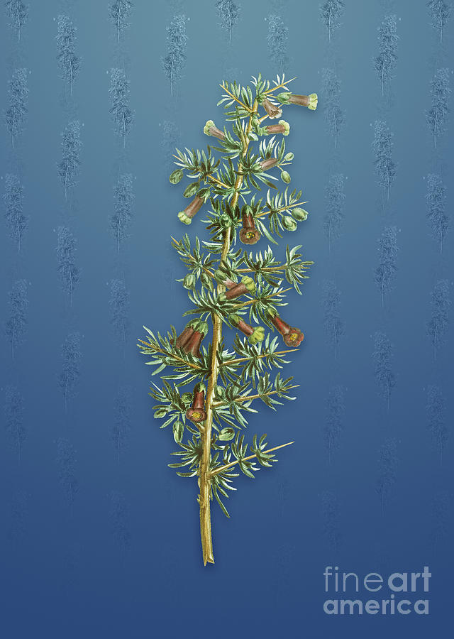 Vintage Kraal Honey Thorn Botanical Art on Bahama Blue Pattern n.1192 Mixed Media by Holy Rock Design