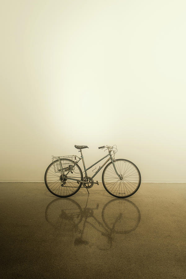 Vintage Ladies Bicycle - Portrait 1 Photograph