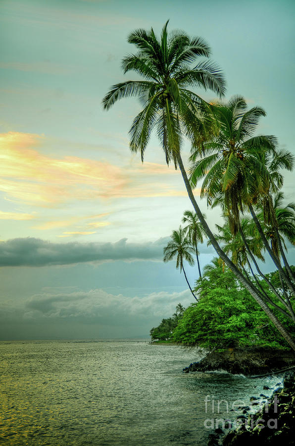 Vintage Lahaina Photograph by Kelly Wade | Fine Art America