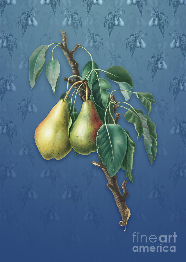 Vintage Mixed Media - Vintage Lemon Pear Botanical Art on Bahama Blue Pattern n.1675 by Holy Rock Design