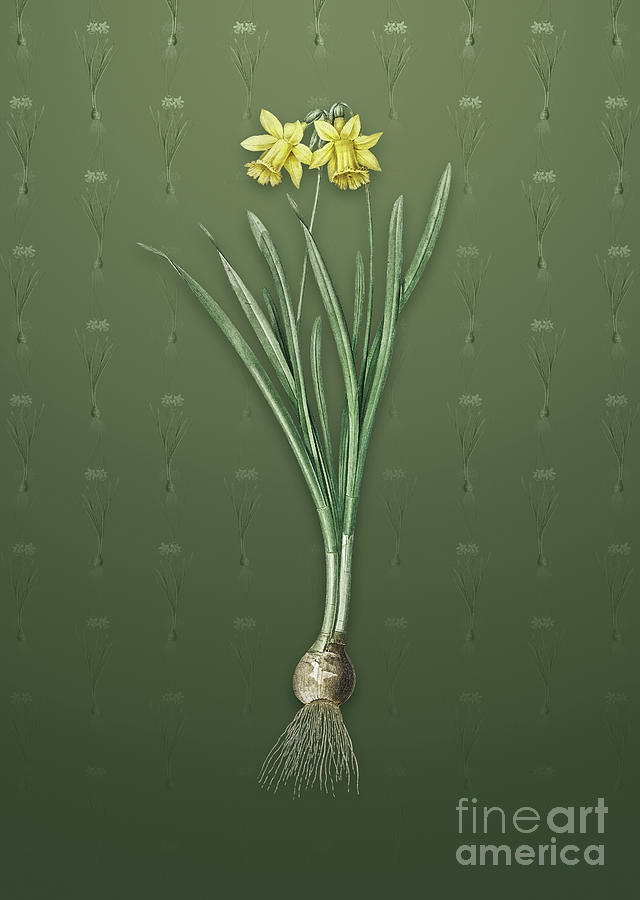 Vintage Lesser Wild Daffodil Botanical Art on Lunar Green Pattern n.1101 Mixed Media by Holy Rock Design