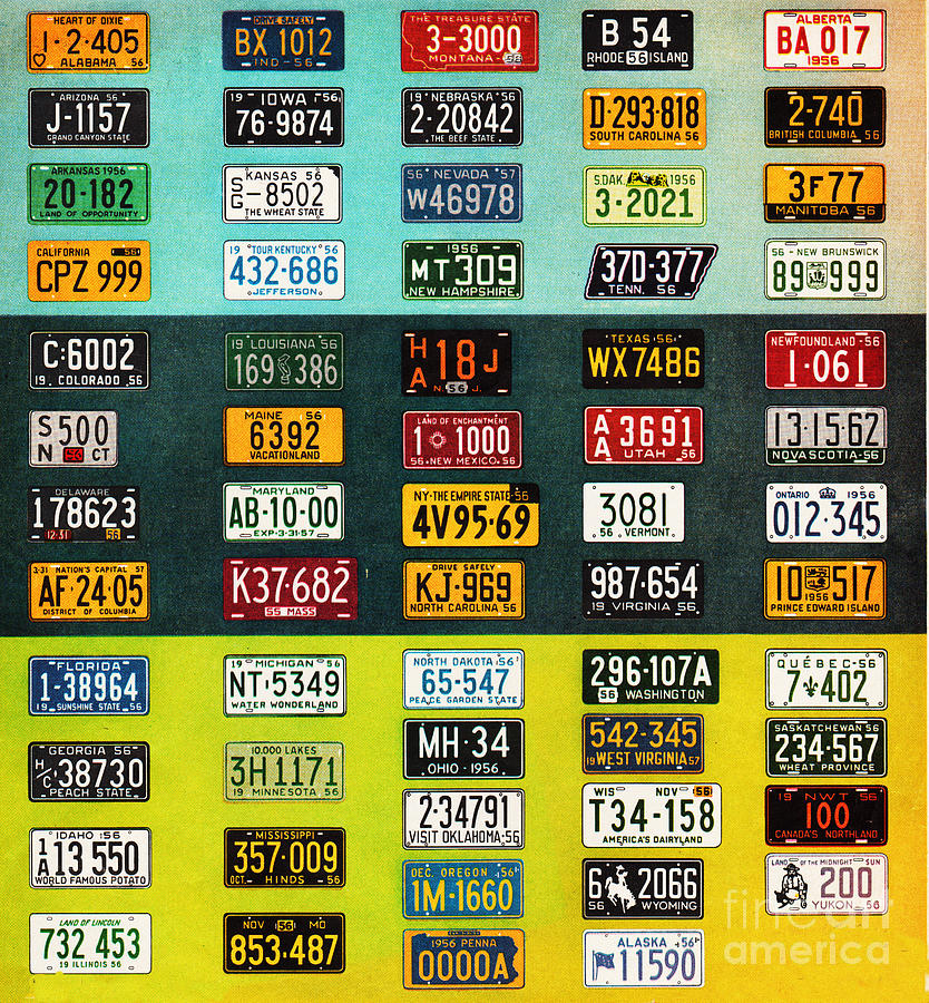 Vintage Licence Plates Mixed Media by Sally Edelstein